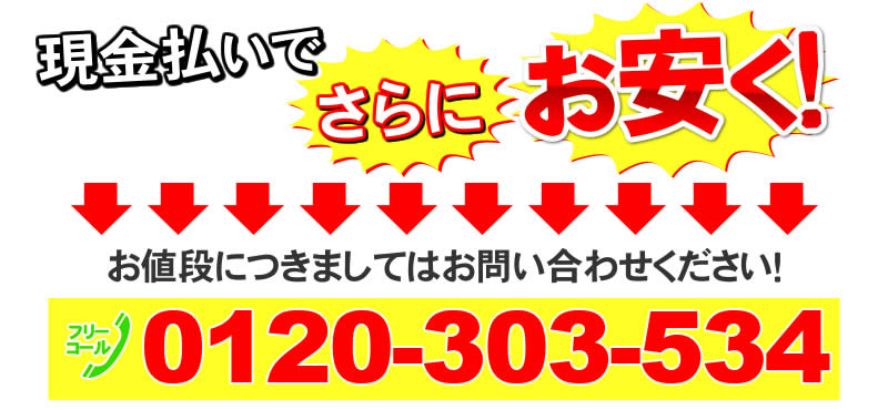 クロライーナ・ポータブル特価についてはお問合せ下さい